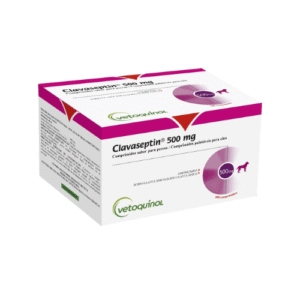 CLAVASEPTIN 500MG N100 - Image 1