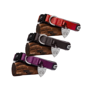 KAKLA SIKSNA AR ATSTAROTĀJU - Image 1