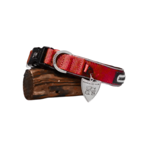 KAKLA SIKSNA AR ATSTAROTĀJU DOGNESS S - Image 1