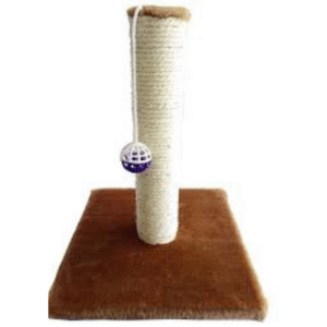 NAGU ASINĀMAIS AR ZVANU - Image 1