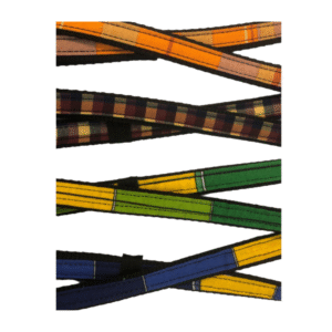 PAVADA KRĀSAINA - Image 1