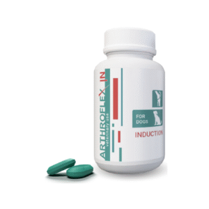 ARHTROFLEX INDUCTION DOG N60 - Image 1