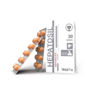 HEPATOSIL ADVANCED N30 - Image 1