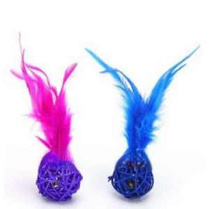 ROTAĻLIETA KAĶU BUMBIŅA PĪTA - Image 1