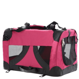 SOMA CEĻOJUMU LIELĀ - Image 1