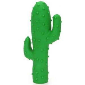 ROTAĻLIETA KAKTUSS - Image 1