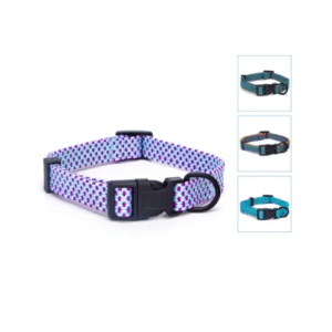 KAKLA SIKSNA RAIBĀ - Image 1