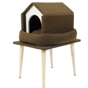 NAGU ASINĀMAIS MĀJA UZ KĀJĀM - Image 1