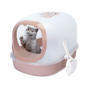 TUALETE AR VĀKU - Image 1