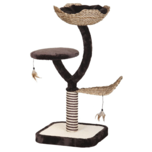 NAGU ASINĀMAIS MAGNOLIA - Image 1