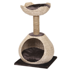 NAGU ASINĀMAIS MĀJA BLOSSOM - Image 1