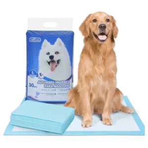 PALADZIŅI IZKLĀJAMI N30 - Image 1