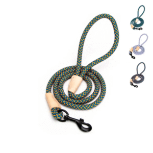 PAVADA APAĻA - Image 1