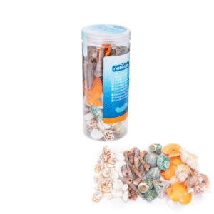 DEKORS AKVĀRIJAM GLIEMEŽNĪCU KOMPLEKTS - Image 1