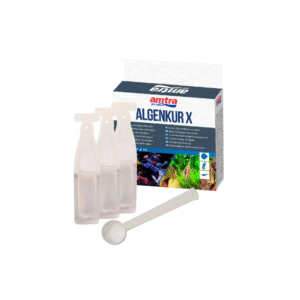 AMTRA ALGENKUR N10 - Image 1