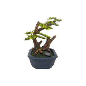 DEKORS AKVĀRIJAM JAPAN BONSAI - Image 1