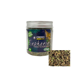 KAĶUMĒTRA EUPHORIA - Image 1