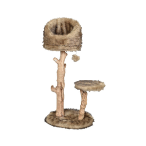 NAGU ASINĀMAIS KOKA MASAI BOMA - Image 1