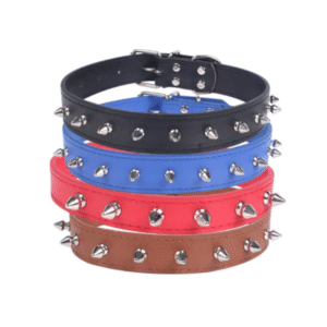 KAKLA SIKSNA AR KNIEDĒM - Image 1