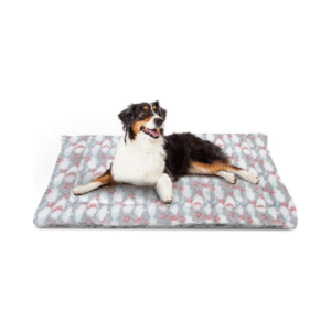 GUĻVIETA ZIEMĪGĀ - Image 1