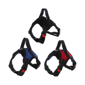 KRŪŠU SIKSNA AR ATSTAROTĀJU - Image 1