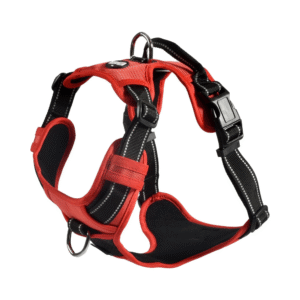 KRŪŠU SIKSNA RANDO RED - Image 1