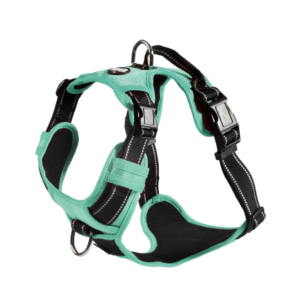 KRŪŠU SIKSNA RANDO MINT - Image 1