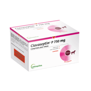 CLAVASEPTIN 750MG N100 - Image 1