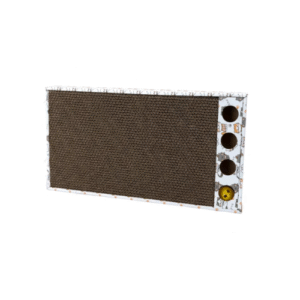 NAGU ASINĀMAIS AR ROTAĻLIETU - Image 1