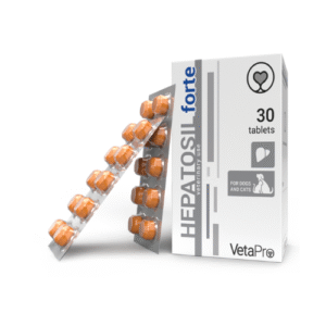 hepatosil forte HEPATOSIL FORTE N30 - Image 1