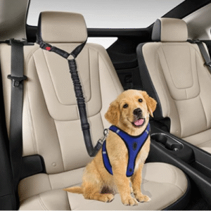 PAVADA AUTO JOSTA AR GALVAS BALSTA STIPRINĀJUMU - Image 2