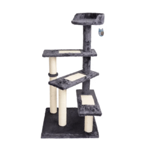 NAGU ASINĀMAIS KĀPNES - Image 1