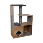 NAGU ASINĀMAIS ETHICA