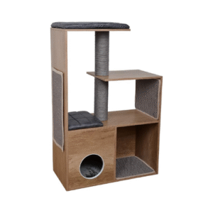 NAGU ASINĀMAIS ETHICA - Image 1