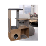 NAGU ASINĀMAIS ETHICA - Image 2