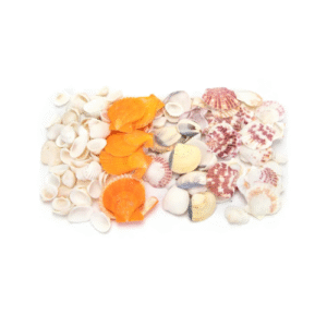 DEKORS AKVĀRIJAM GLIEMEŽVĀKU MIX - Image 2