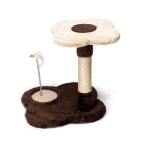 NAGU ASINĀMAIS PELE PUĶE - Image 1