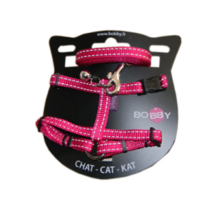 KRŪŠU SIKSNA AR PAVADU KAĶIEM PINK - Image 1