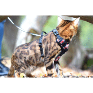 KRŪŠU SIKSNA KAĶIEM RANDO BORDO - Image 2