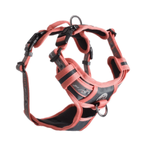 KRŪŠU SIKSNA KAĶIEM RANDO ORANGE - Image 1