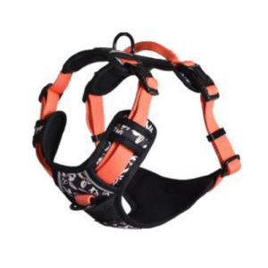 KRŪŠU SIKSNA RANDO ORANGE - Image 1