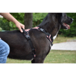 KRŪŠU SIKSNA RANDO BORDO M - Image 2