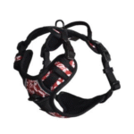 KRŪŠU SIKSNA RANDO BORDO M