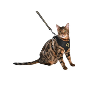 KRŪŠU SIKSNA UN PAVADA KAĶIEM CHAMANE BLACK - Image 2