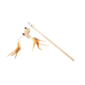 ROTAĻLIETA MAKŠĶERE DABĪGA - Image 1