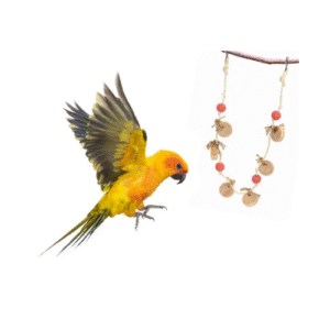 ROTAĻLIETA PUTNIEM VIRTENE - Image 2