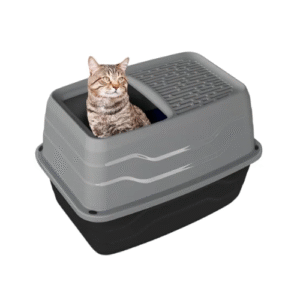 TUALETE AR AUGŠAS IEEJU 56CM - Image 1